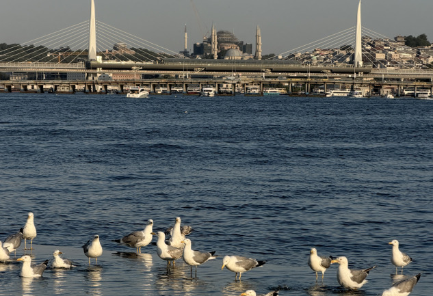 Tersane Istanbul'da Yaz Takvimi: Sezonun Öne Çıkan Deneyimleri