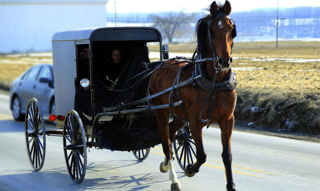 Amish_People