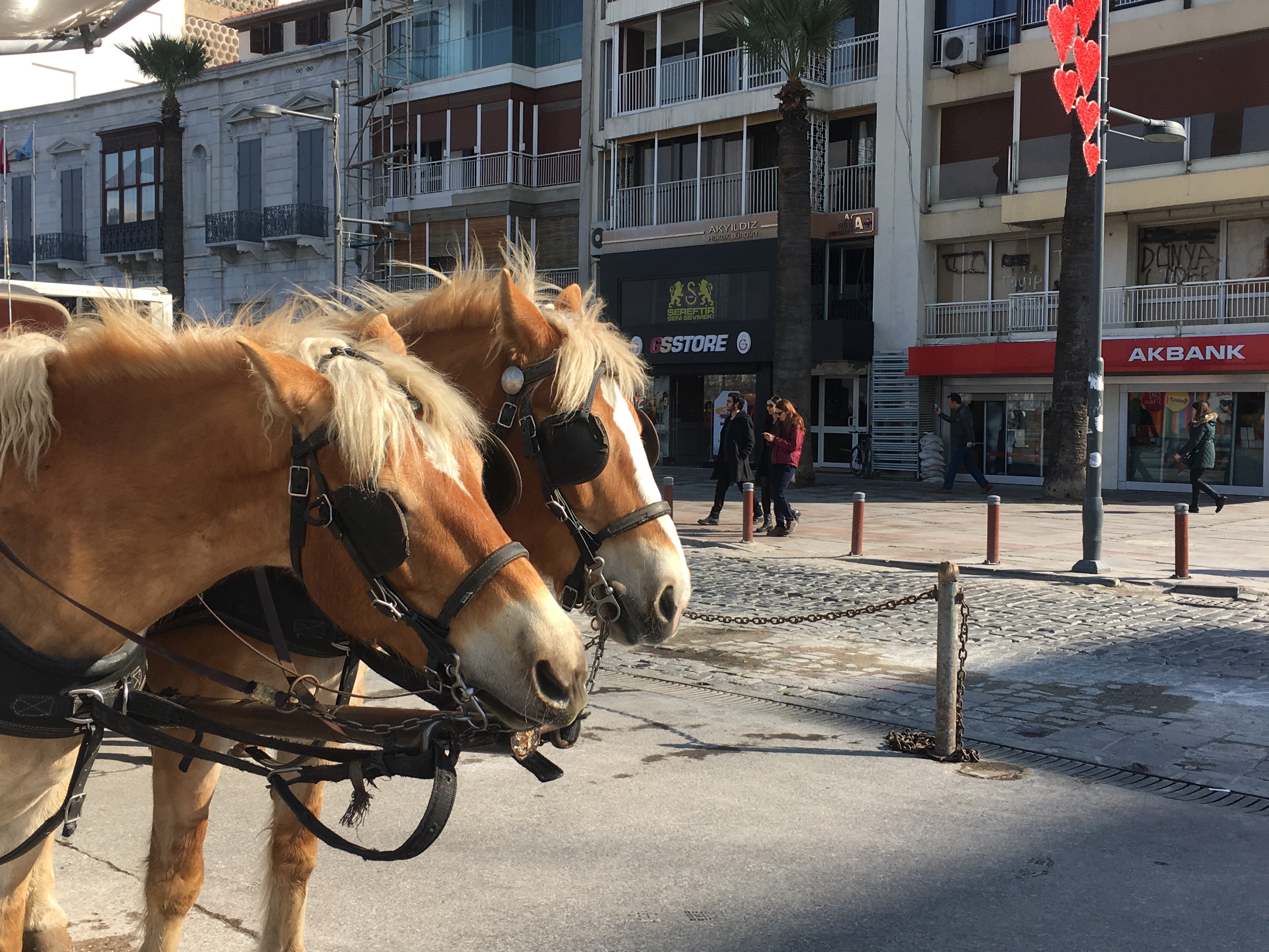 İzmir’de Bahar Gibi Üç Gün