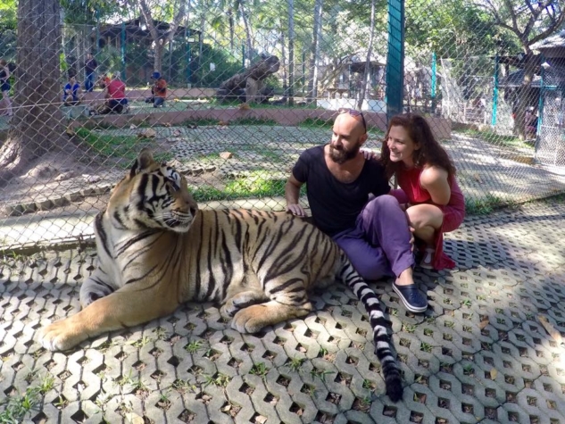 Tiger Kingdom, Chiang Mai