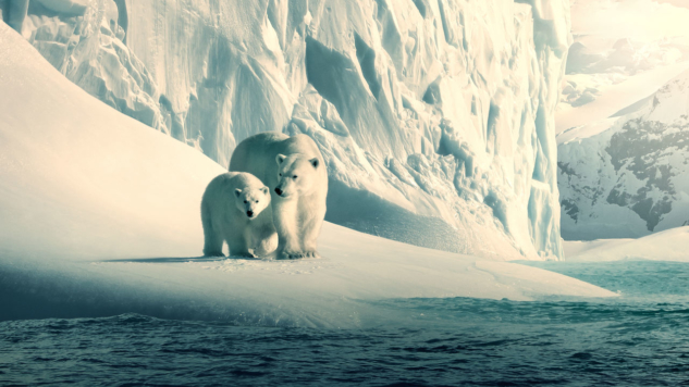 emmy adayları – our planet
