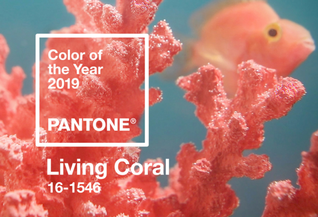 pantone yılın rengi – 2019