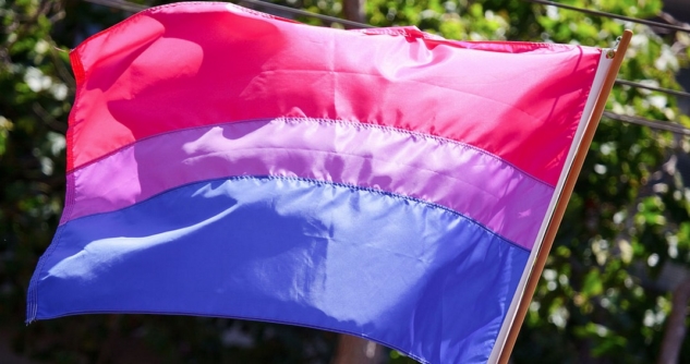gökkuşağı bayrağı – bisexual pride