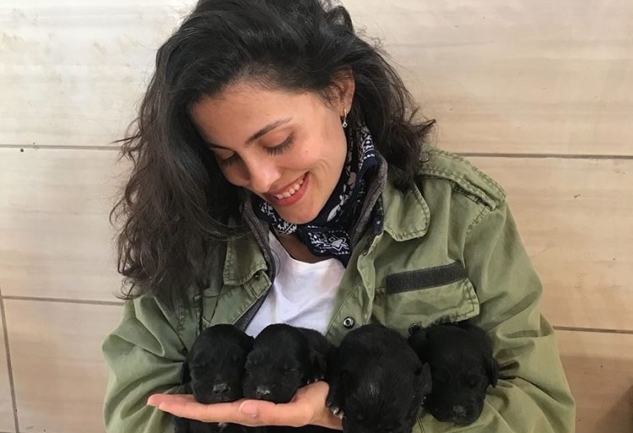 Türkan Ceylan: Barınak Meleği ile Minik Dostlarımız Üzerine