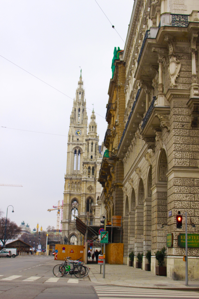 Viyana | Fotoğraf: Ceren Muslu