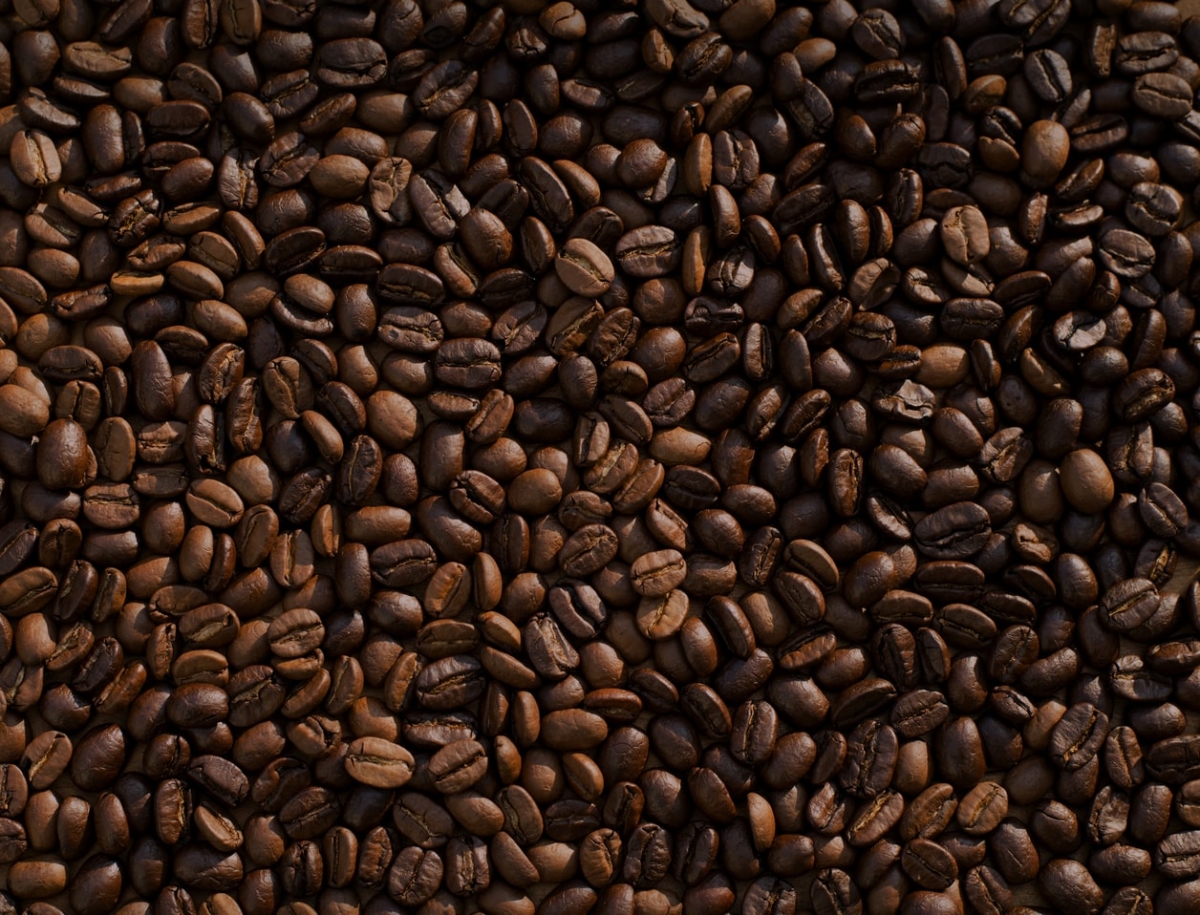 Kahve Çeşitleri ve Türleri: Kahve Hakkında Her Şey