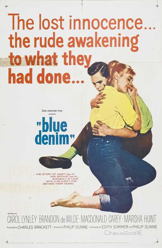 Blue Denim Poster