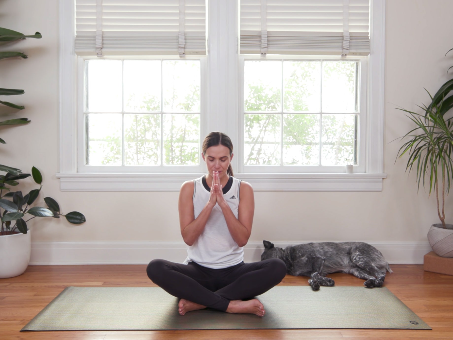 Karaciğeri Güçlendirmek İçin En İyi Yoga Duruşları 35 Yoga With Adriene: 30 Günlük “Evde Yoga” Serüvenim • theMagger