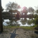 Yaren
