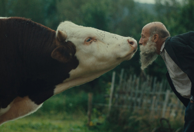 Alternatif Filmekimi 2025 Filmleri: Hit Filmlere Alternatif 5 Öneri