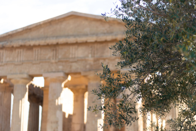 Antik Yunan Tapınağı ve Zeytin Ağacı 