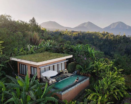 Munduk Moding Plantation: Bali’de Sonsuzluğa Uzanan Kapı