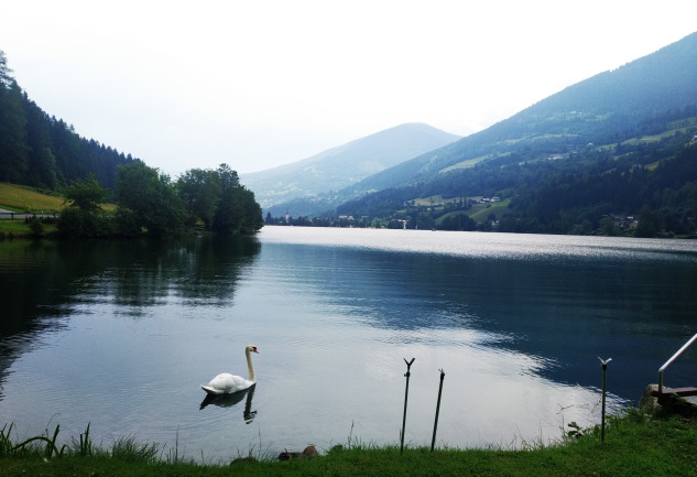 Avusturya'nın Gölleri: Müziğin Ülkesinde Farklı Bir Deneyim