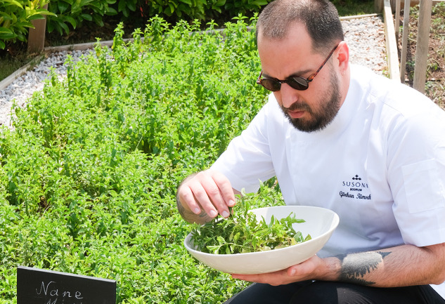 Malva Bodrum'un Şefi Gürkan Tümsek ile: Gastronomi ve Sıfır Atık Üzerine