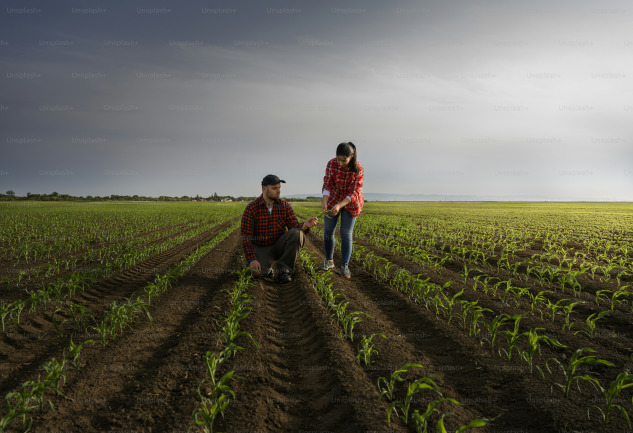 Agroturizm: Doğanın Güzellikleriyle Dolu Bir Seyahat