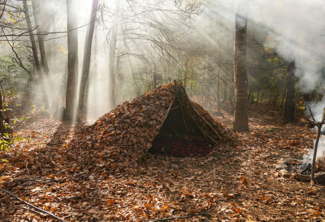 Bushcraft: İnsan ve Doğa Arasında Asırlar Önce Kopan Bağ