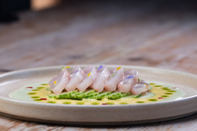 crudo