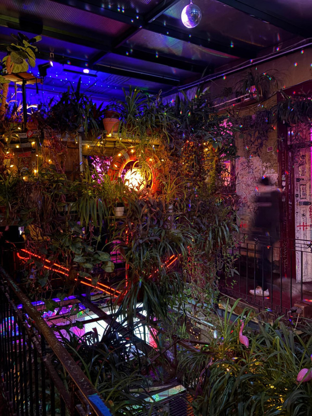 szimpla-kert-avlu-bitkiler-ve-isik