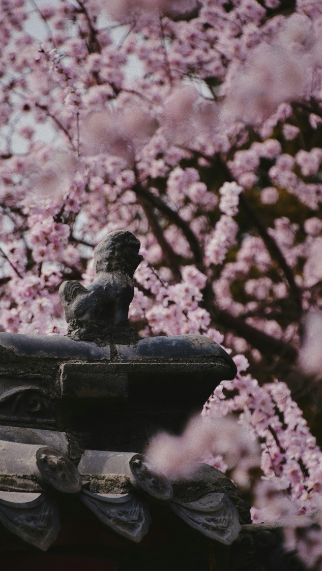 Fotoğraf Altyazısı | Kelsey He (unsplash.com)