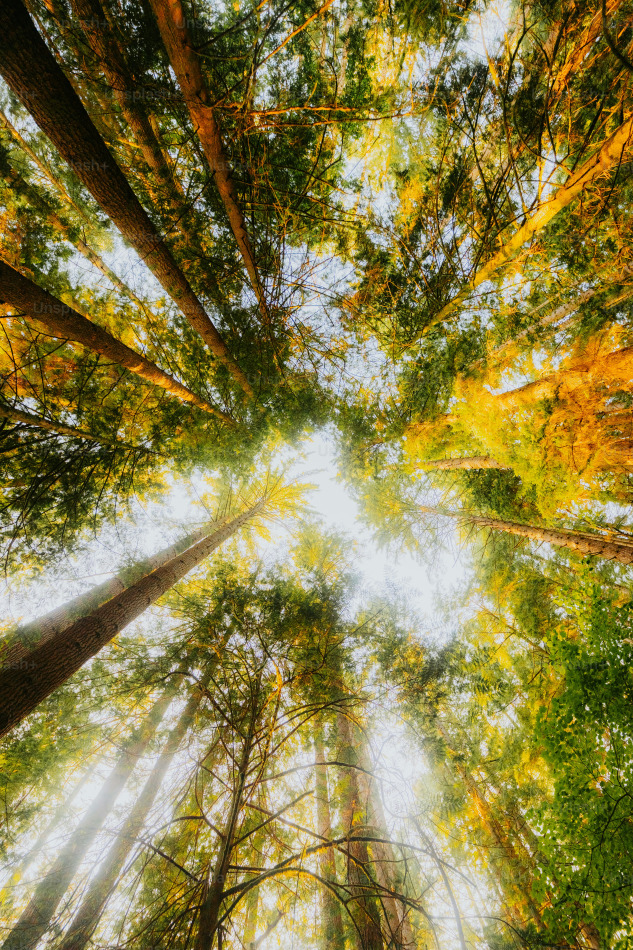 Fotoğraf Altyazısı | Luke Miller (unsplash.com)