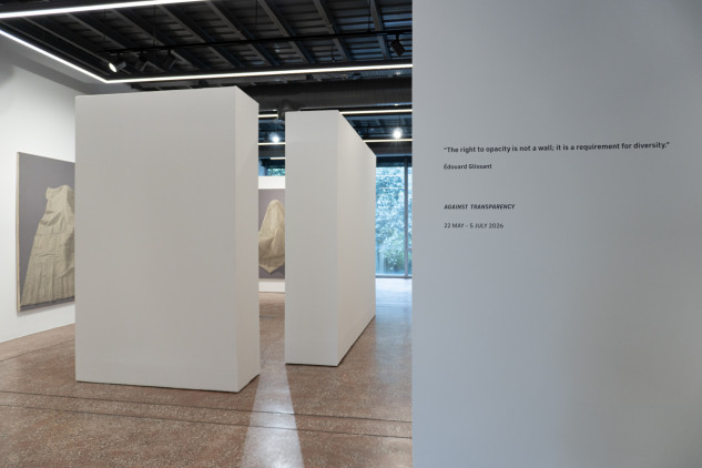 against-transparency-installation-view-2-shiva-zahed-gallery-photo-by-ali-nazari