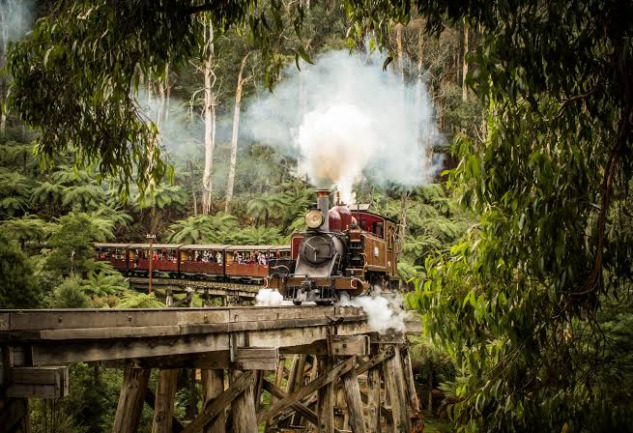 Puffing Billy Train: Dünyanın En Nadir Yolculuklarından Birinden Notlar