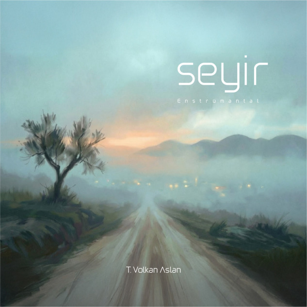 t-volkan-aslan-seyir-kapak