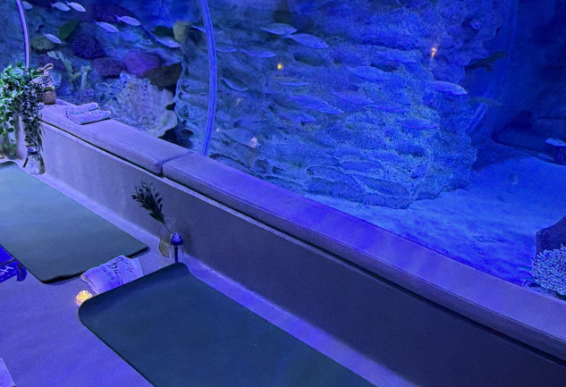 BB Social Club: Birlikte Olmanın Mutluluğu, Yeni Nesil Sosyal Kulüp
