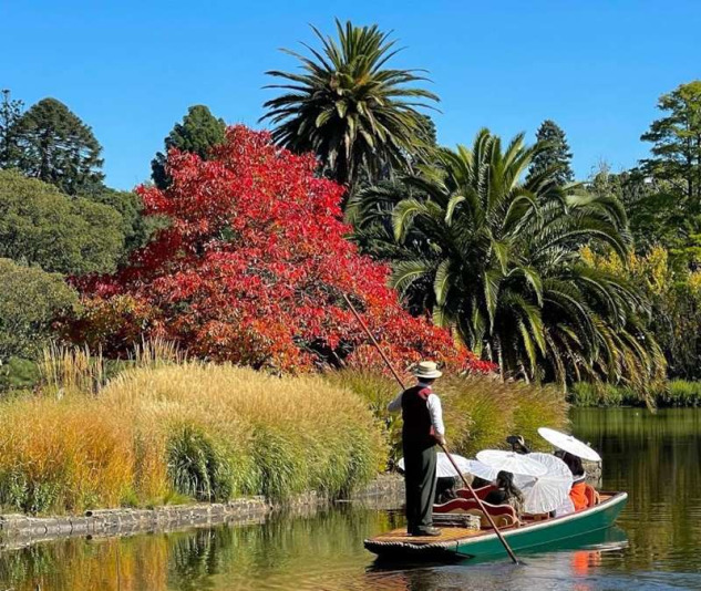 punting-on-the-lake-botanic-gardens